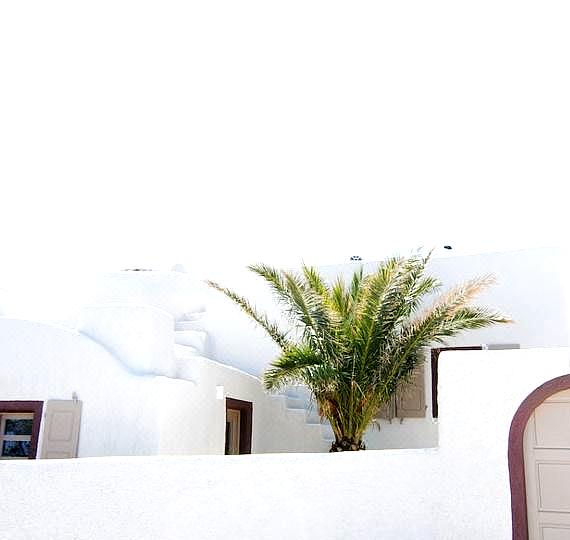 White Grape Suites